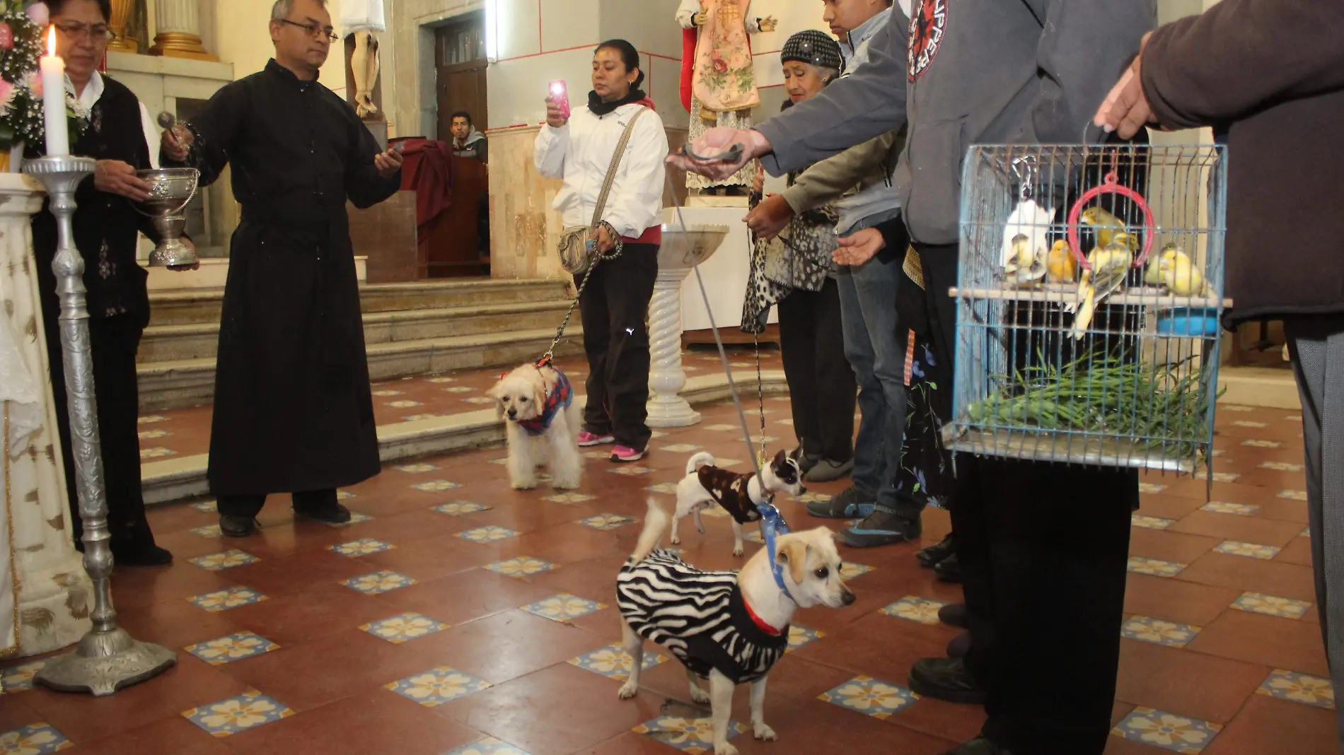 BENDICION ANIMALES IGLESIA BARRIO SN ANTONIO JULIOCM 170120170003